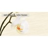 Bộ gạch Thạch Bàn 30x60 Tràng An-Artistic M005