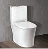 Bồn cầu 1 khối Ceravi C501 (Tặng lavabo, chân chậu)
