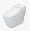 Bồn cầu khối Inax AC-1032VN