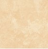 Gạch Bạch Mã 60x60 M6009