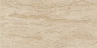 Gạch Catalan 40x80 4802