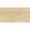 Gạch ốp lát Catalan 60x120 CTN-1203