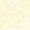 Gạch Prime 60x60 12025