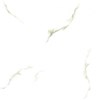 Gạch Prime 60x60 12028