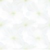 Gạch Prime 60x60 12032