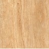 Gạch Prime 60x60 15608