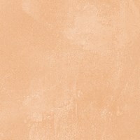 Gạch Prime 60x60 8229