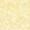 Gạch Prime 60x60 9028