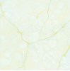 Gạch Prime 60x60 9043