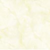 Gạch Prime 60x60 9046