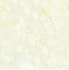 Gạch Prime 60x60 9200
