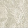 Gạch Prime 60x60 9771