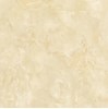 Gạch Prime 60x60 9874