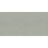 Gạch Taicera 30x60 G63048