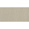 Gạch Taicera 30x60 G63522