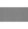Gạch Taicera 30x60 G63528
