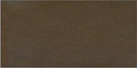 Gạch Taicera 30x60 G63911