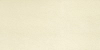 Gạch Taicera 30x60 G63913