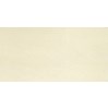 Gạch Taicera 30x60 G63913