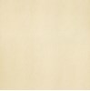 Gạch Taicera 60x60 G68913
