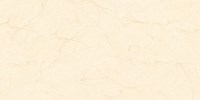 Gạch Tasa 40x80 4801