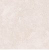 Gạch Tasa 60x60 6404