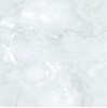 Gạch Tasa 60x60 TS 6009