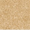 Gạch Tasa 60x60 TS 6017