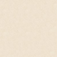 Gạch Tasa 80x80 8001