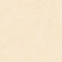 Gạch Tasa 80x80 8101