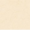 Gạch Tasa 80x80 8101