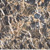 Gạch Vitto 60x60 8H748