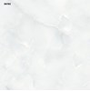 Gạch Vitto 60x60 9H783