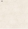 Gạch Vitto 60x60 H901