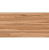 Gạch ốp lát Ý Mỹ 60x120 P6125001C