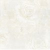 Gạch Ý Mỹ 60x60 N68014