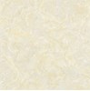 Gạch Ý Mỹ 60x60 P68013