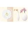 Gạch điểm Vitto 30x60 D206