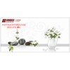Gạch điểm ốp tường Sunrise 30x60 HV9225