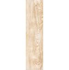 Gạch giả gỗ Hoàn Mỹ 15x60 11001