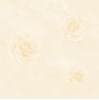 Gạch lát nền Tasa 80x80 8113