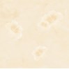 Gạch lát nền Tasa 80x80 8168