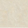 Gạch lát nền Tasa 80x80 8321