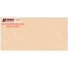 Gạch ốp tường Sunrise 30x60 HV9218