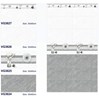 Gạch ốp tường Sunrise 30x60 VG3627