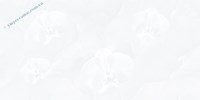 Gạch ốp tường Ý Mỹ 30x60 A36020