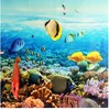 Gạch tranh 3D Cá vàng