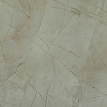 Gạch vi tinh ngọc thạch 80x80 HCT88001J