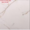 Gạch vi tinh ngọc thạch Ấn Độ 80x80 VA8003