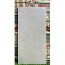 Gạch ốp lát Á Mỹ 60x120 mờ CT1256